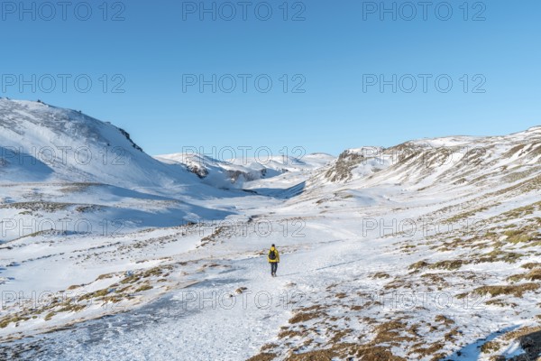 A hiker in a yellow windbreaker on the snow-covered trail to the Reykjadalur hot spring river in South Iceland in winter