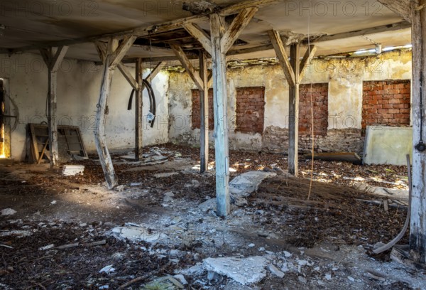 Abandoned and derelict farmhouses on undeveloped land in Rügen, Mecklenburg-Vorpommern, Germany, Europe