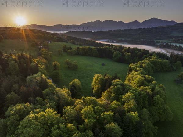 Aerial view, trees, forest, meadow, light green leaves, morning light, fog, mountains, sunny, sunrise, backlight, spring, near Murnau, Alpine foothills, Bavaria, Germany, Europe