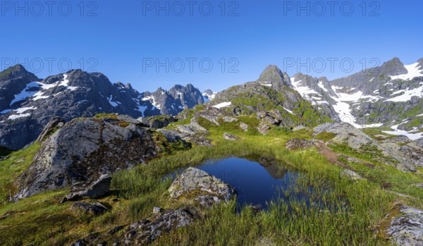 Small pond in moor landscape at Trollfjord Hytta, mountain landscape with rocky mountain peaks, at Trollfjord, Lofoten and Vesterålen, Nordland, Norway, Europe