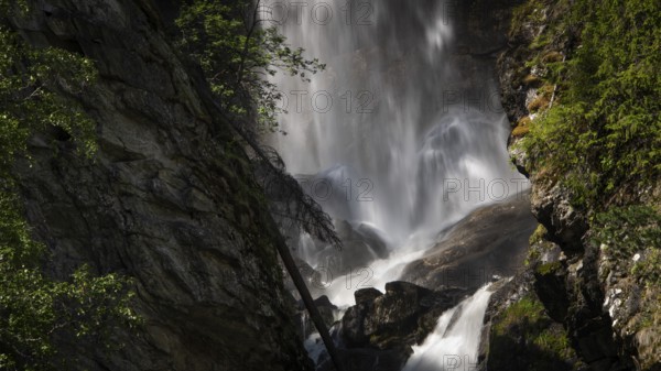A rushing waterfall flows over rocks in a wooded setting, Roståa stream, near Sel, Gudbrandsdalen, Norway, Europe