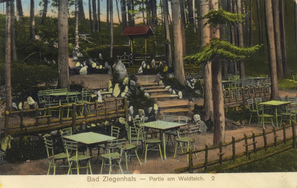 Historical postcard, picture postcard, Bad Ziegenhals in Silesia, today Glucholazy in Poland, digitally enhanced reproduction of an original from around 1900, picture postcard