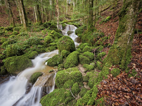 Waterfall with moss-covered rocks, Sihlsprung, Menzingen, Canton Zug, Switzerland, Europe