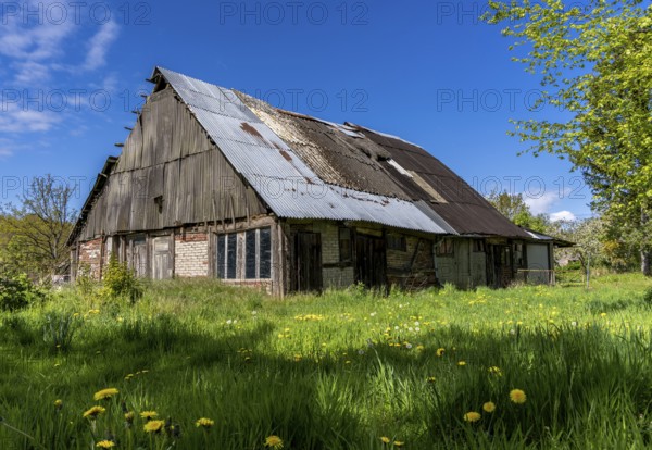 Abandoned and derelict farmhouses on undeveloped land in Rügen, Mecklenburg-Vorpommern, Germany, Europe