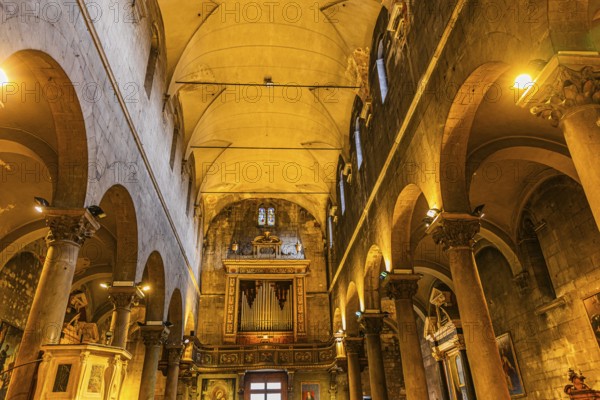 Vaulted ceiling in the church of San Michele in Foro, historic city centre, Lucca, Tuscany, Italy, Europe