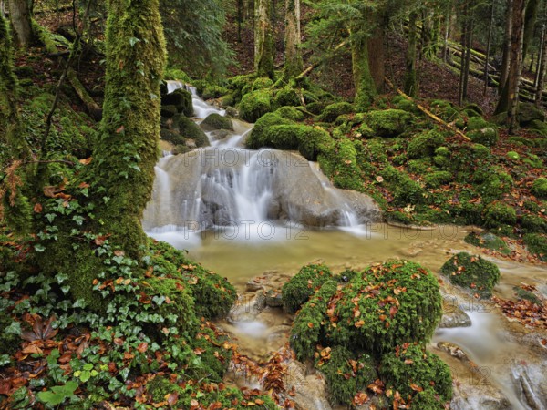 Waterfall surrounded by moss-covered stones in autumnal coloured surroundings, on the river Sihl, Sihlsprung, Menzingen, Canton Zug, Switzerland, Europe