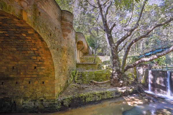 Stone wall and tree next to a watercourse with a small waterfall, Rodini Park, City Park, Rhodes Town, Rhodes, Dodecanese, Greek Islands, Greece, Europe