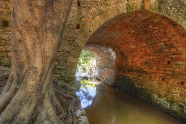 Stone tunnel with large tree next to it, quiet watercourse, Rodini Park, municipal park, Rhodes Town, Rhodes, Dodecanese, Greek Islands, Greece, Europe