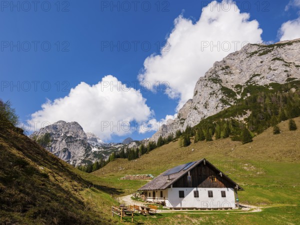 Halsalm, above the Reiteralpe, Ramsau bei Berchtesgaden, Berchtesgadener Land, Upper Bavaria, Bavaria, Germany, Europe