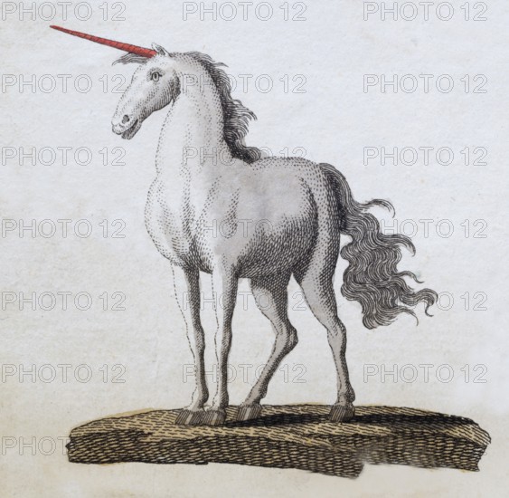 Unicorn, hand-coloured copperplate engraving from Friedrich Justin Bertuch's picture book for children, Vienna 1801