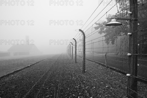 Reconstructed camp fence with crematorium in the fog at beech forest concentration camp, now a concentration camp memorial, Weimar, Thuringia, Germany, Europe