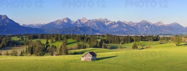 Lonely hut on a green meadow in front of an alpine mountain backdrop, Alps, near Füssen, Ostallgäu, Allgäu, Bavaria, Germany, Europe