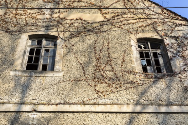 Façade with 2 smashed wooden windows on the gable, former mill of Töpeln, Döbeln, Saxony, Germany, Europe
