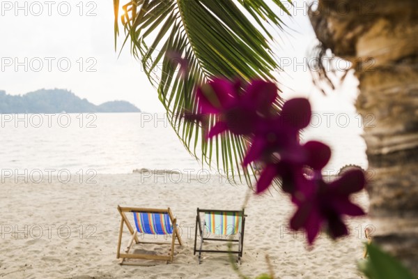 Orchids and deckchairs on the beach, Klong Son Beach, Ko Chang, Koh Chang, Mu Ko Chang National Park, Trat, Thailand, Asia