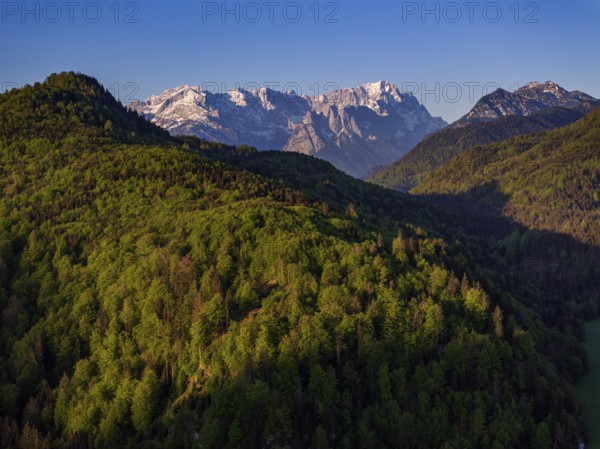 Aerial view, trees, forest, light green leaves, morning light, mountains, sunny, spring, near Murnau, Zugspitze, Wetterstein range, foothills of the Alps, Bavaria, Germany, Europe