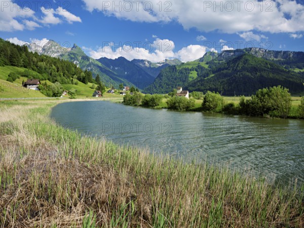 Tributary to the reservoir, Sihlsee, Euthal, Canton Schwyz, Switzerland, Europe