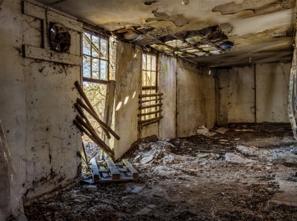 Abandoned and derelict farmhouses on undeveloped land in Rügen, Mecklenburg-Vorpommern, Germany, Europe