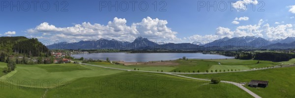 Expansive landscape with a view of Lake Hopfensee and mountains, surrounded by green meadows and a blue sky with clouds, Alps, Hopfen am See near Füssen, Ostallgäu, Allgäu, Bavaria, Germany, Europe