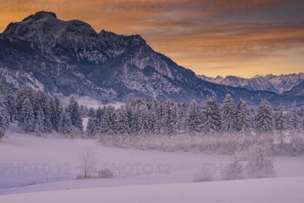Winter landscape in the Allgäu near Halblech at sunrise