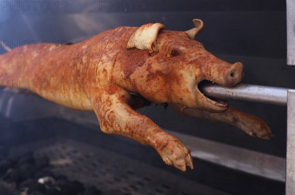 Suckling pig, pork, roasted on a spit, charcoal, Stuttgart, Baden-Württemberg, Germany, Europe