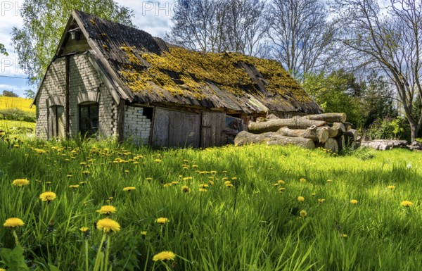 Abandoned and derelict farmhouses on undeveloped land in Rügen, Mecklenburg-Vorpommern, Germany, Europe