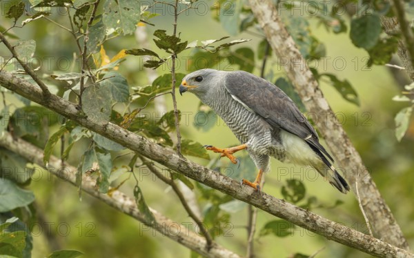 Naturfotografie Sylvia & Olaf Rentzsch