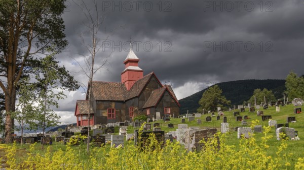 Rapeseed field in front of old church and tree-covered cemetery under a dramatic sky, Dovre church, Dovre kyrkje, Dovre, Fylke Innlandet, upper Gudbrandsdalen, Norway, Europe