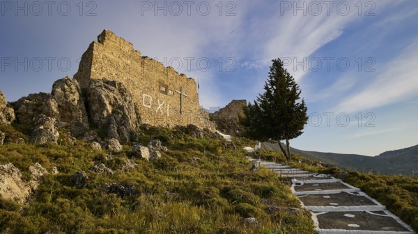 View of ruin and lone tree on a path surrounded by rocks and vegetation under blue sky, Archangelos, Castle, Place, Castle of Archangelos, Rhodes, Dodecanese, Greek Islands, Greece, Europe