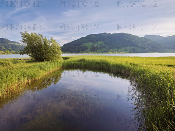 Reservoir, Sihlsee, Euthal, Canton Schwyz, Switzerland, Europe