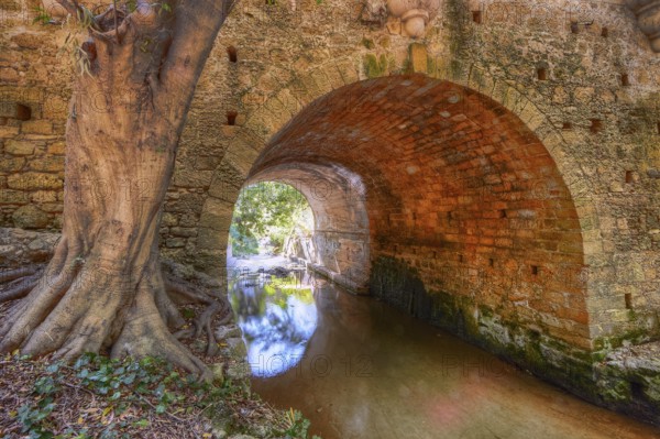 Stone tunnel with tree and quiet river, pure nature, Rodini Park, municipal park, Rhodes Town, Rhodes, Dodecanese, Greek Islands, Greece, Europe