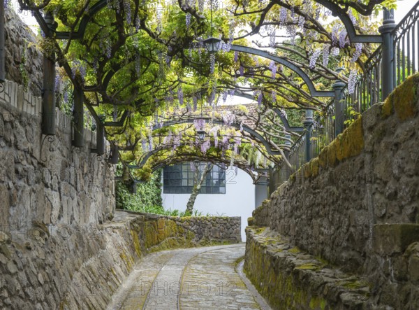 Old rail track path leading to Taylor's port lodge, Vila Nova de Gaia, Porto, Portugal, Europe