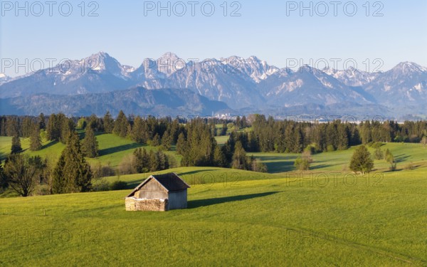 Small hut on green fields in front of a spectacular Alpine panorama, Alps, near Füssen, Ostallgäu, Allgäu, Bavaria, Germany, Europe