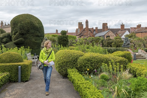 Visitor, garden, Shakespeare's New Place, where his house stood until 1759, Stratford-upon-Avon, England, Great Britain