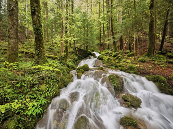 Waterfall with moss-covered rocks, Sihlsprung, Menzingen, Canton Zug, Switzerland, Europe