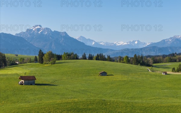 Green meadows and huts spread over gentle hills with the Alps in the background, Alps, near Füssen, Ostallgäu, Allgäu, Bavaria, Germany, Europe