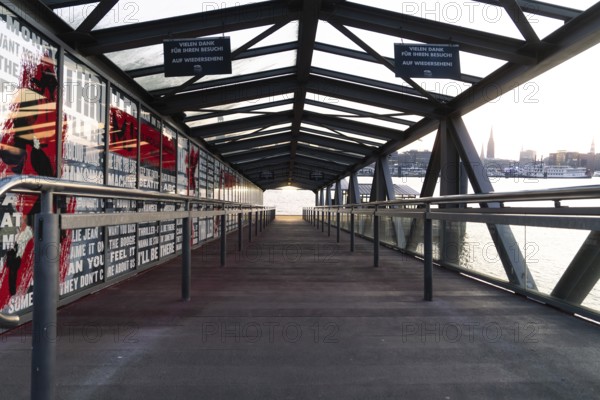 Glass-roofed bridge with a view of the city in the background, The Lion King, Hamburg, Germany, Europe