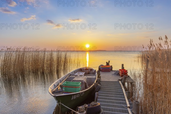 Fishing boat, rowboat along reed bed at sunset near Warthe, Rankwitz at the Lieper Winkel on the island of Usedom, Mecklenburg-Vorpommern, Germany, Europe
