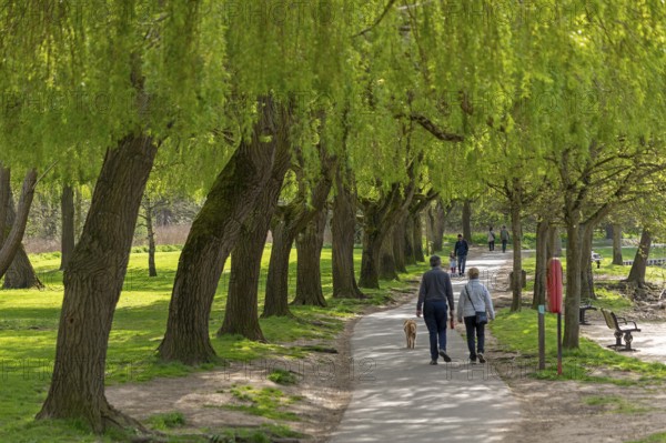 Riverside Heritage Trail, Stratford-upon-Avon, Warwickshire, England, United Kingdom, Europe