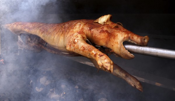Suckling pig, pork, roasted on a spit, charcoal, Stuttgart, Baden-Württemberg, Germany, Europe
