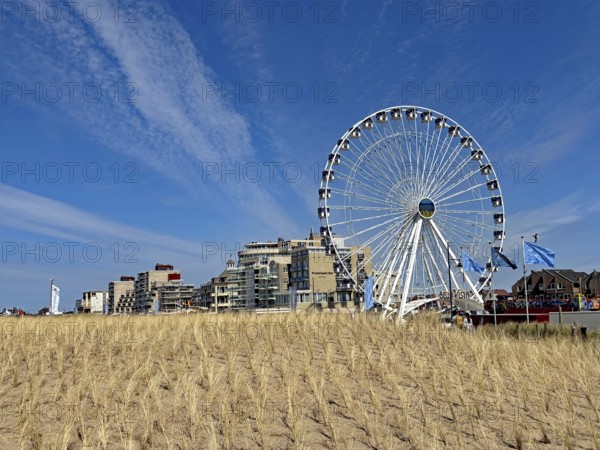 Ferris wheel next to modern buildings on the beach under a clear blue sky with clouds, Noordwijk, Holland, Netherlands