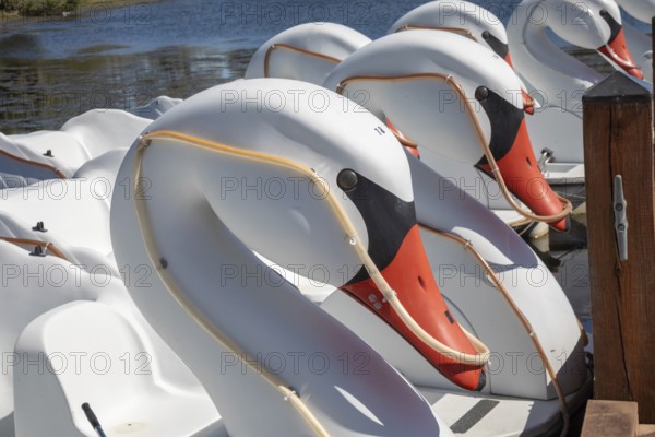 New Orleans, Louisiana - Swan boat rentals on Big Lake in New Orleans City Park