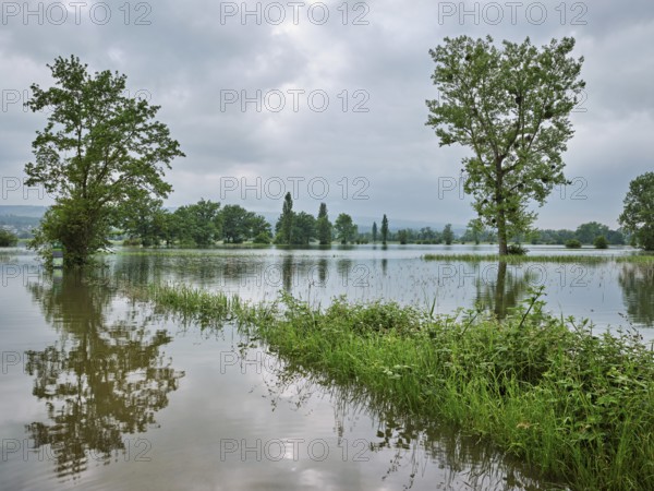 Trees standing in the flooded river Lorze, floodplain landscape, Reussspitz nature reserve, Maschwanden, Canton Zurich, Switzerland, Europe