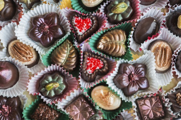Top view and close-up of hand made mixed flavor fancy fine delicious chocolates in opened chocolate box, Studio Composition, Quebec, Canada, North America