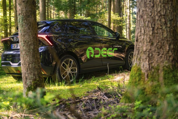 Black car in the forest, surrounded by tree trunks and green nature, Deer E- Carsharing, Calw, Black Forest, Germany, Europe