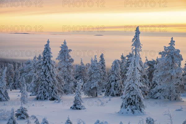 Winter landscape, Riisitunturi National Park, Posio, Lapland, Finland, Europe