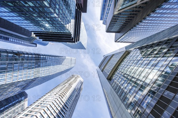 Frankfurt skyline skyscrapers buildings banks modern work offices in Frankfurt, Germany, Europe