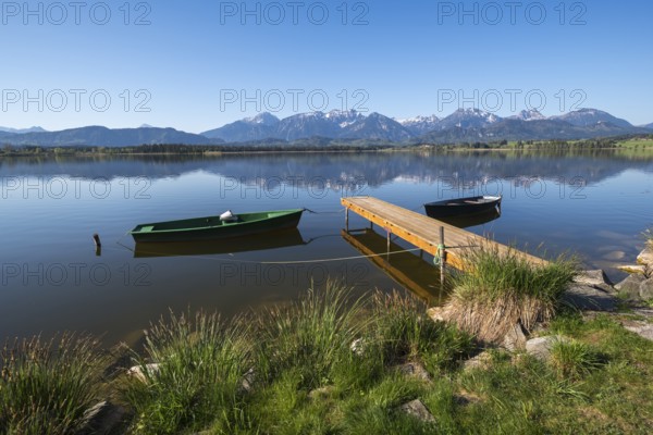 Green and black boat mooring on a quiet lake with Alpine peaks in the background, Hopfen am See, near Füssen, Ostallgäu district, Swabia, Bavaria, Germany, Europe