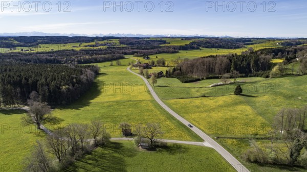 Blooming meadows and forests in the hilly foothills of the Alps near Mindelheim in spring, in the background the mountain range of the Allgäu Alps, Allgäu, Bavaria, Germany, Europe