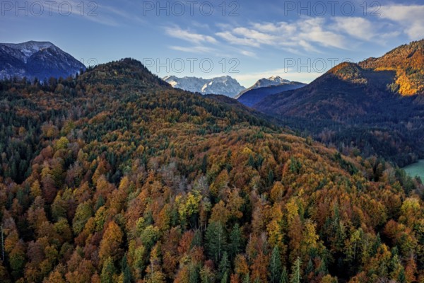 Aerial view of a mountain landscape in autumn, trees, morning light, view of Zugspitze and Bavarian Alps, Alpine foothills, Bavaria, Germany, Europe