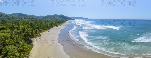 Aerial view, rainforest, sandy beach and coast with waves, Playa Cocalito, Puntarenas, Costa Rica, Central America